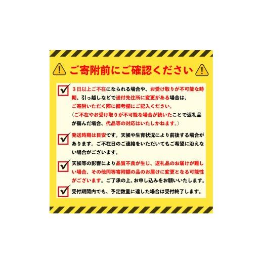 ふるさと納税 梨 茨城県 筑西市 梨 あきづき 5kg (8〜14玉) 1箱 先行予約 | なし ナシ 秋月 旬の梨 和梨 5キロ 期間限定 果物 くだもの フルーツ デザート 新…_5