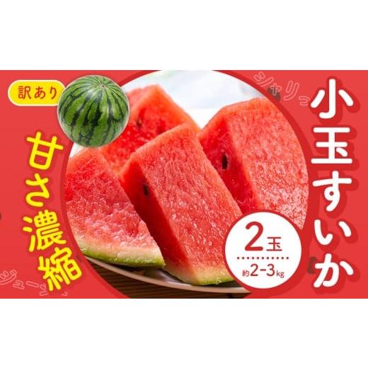 ふるさと納税 スイカ 熊本県 菊池市 先行予約 スイカ 訳あり 小玉すいか 2玉 約 2kg 〜 3kg M 〜 3L 混合 株式会社Foody's 食彩たかみ [2026年5月下旬-7月…