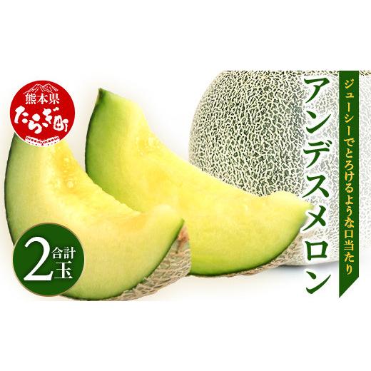 ふるさと納税 メロン メロン青肉 熊本県 多良木町 2026年5月上旬発送開始 先行予約 熊本県産 アンデスメロン 2玉 約2.5kg以上 ご予約 令和8年 先行 メロン フ…