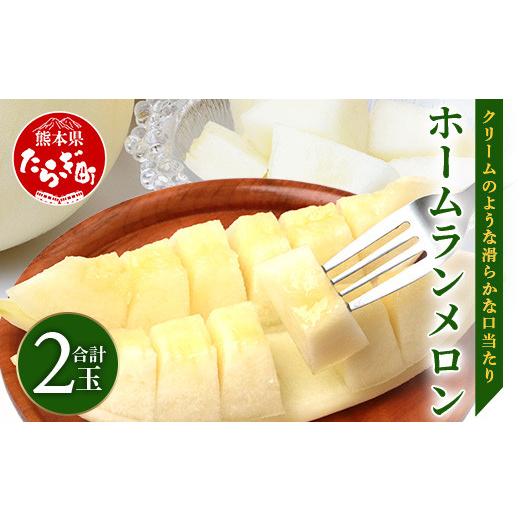 ふるさと納税 メロン メロン青肉 熊本県 多良木町 2026年5月上旬発送開始 先行予約 熊本県産 ホームランメロン 2玉 約2.5kg以上 令和8年 ご予約 メロン フル…