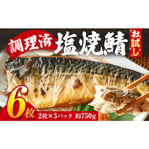 ふるさと納税 魚貝類 福岡県 田川市 お試し さば 塩サバ 塩焼鯖6枚 大ぶり 調理済 レンチン 温めるだけ 脂のり 惣菜 晩御飯 おかず ジューシー 冷凍 お弁当 レ…