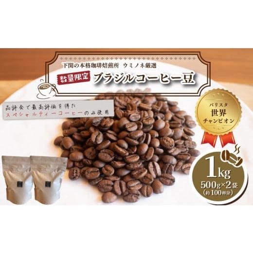 ふるさと納税 コーヒー コーヒー豆 山口県 下関市 豆 訳あり コーヒー豆 1kg ( 500g × 2袋 ) ブラジル レッド カトゥアイ 数量限定 ( コーヒー 珈琲 出荷当…