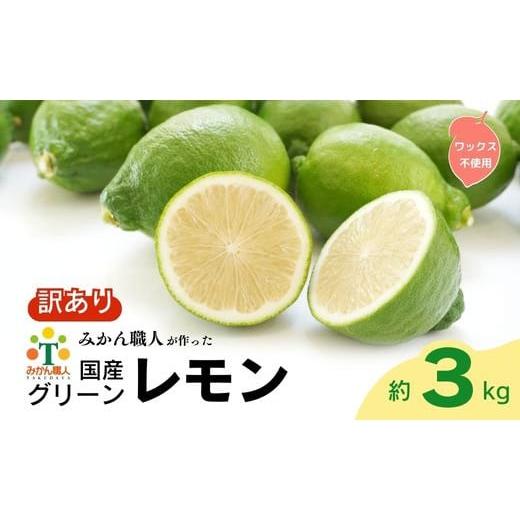 ふるさと納税 みかん・柑橘類 愛媛県 愛南町 訳あり レモン(グリーンレモン) 3kg りのか ワックス不使用 少量 お試し 人気 アレンジ 農家直送 地場産品 減農…