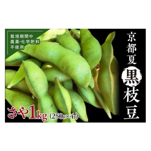ふるさと納税 豆類 枝豆 京都府 京丹後市 先行予約/数量限定40 京都夏黒枝豆さや 1kg(250g×4パック)(2026年7月中旬〜発送)