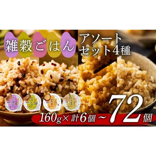 ふるさと納税 雑穀 大阪府 松原市 雑穀ごはん アソートセット 4種 160g 6個 十六雑穀 発芽玄米 玄米 もち麦 パックごはん パックご飯 ごはんパック ご飯パック…