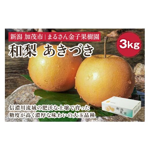 ふるさと納税 梨 新潟県 加茂市 2026年先行予約 贈答用 和梨 あきづき 3kg(5〜8玉)[9月中旬から順次発送] 果物 なし 梨 フルーツ 新鮮 産地 加茂市 まる…