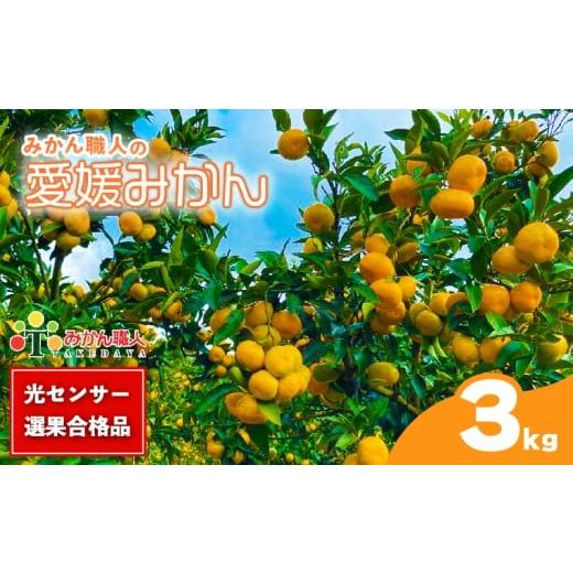 ふるさと納税 果物類 みかん 愛媛県 愛南町 訳あり 愛媛みかん 3kg 人気 みかん 冬 秋 旬 糖度 糖度計 厳選 光センサー選果 柑橘 かんきつ 果物 くだもの 国産…
