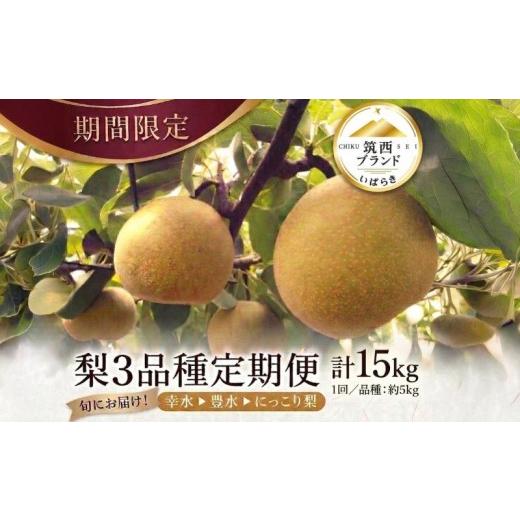 ふるさと納税 梨 茨城県 筑西市  JA 北つくば 筑西ブランド 認証品 梨 3種 定期便 セット 2026年産 先行予約 果物 フルーツ なし ナシ 和梨の画像