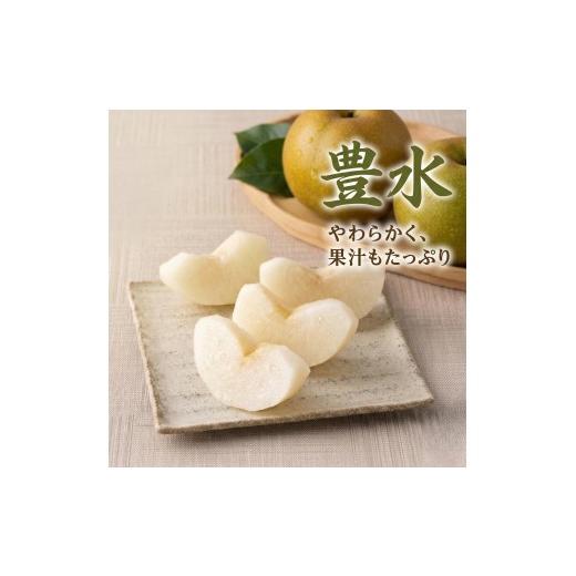 ふるさと納税 梨 茨城県 筑西市  JA 北つくば 筑西ブランド 認証品 梨 3種 定期便 セット 2026年産 先行予約 果物 フルーツ なし ナシ 和梨の画像