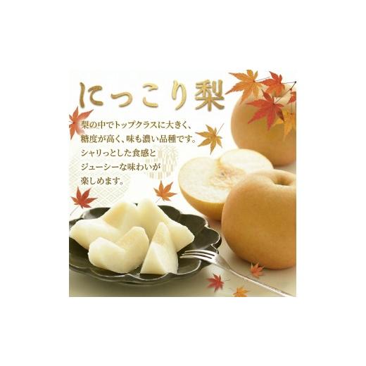 ふるさと納税 梨 茨城県 筑西市  JA 北つくば 筑西ブランド 認証品 梨 3種 定期便 セット 2026年産 先行予約 果物 フルーツ なし ナシ 和梨の画像