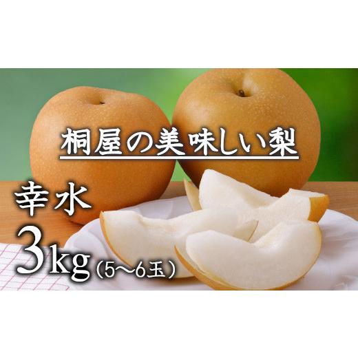 ふるさと納税 梨 埼玉県 白岡市 梨作り50余年 桐屋(やぎさわ梨園)の美味しい梨(幸水)3kg(糖度保証)