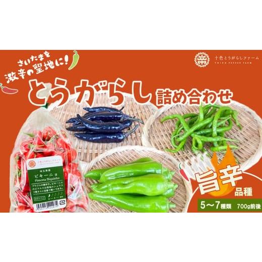 ふるさと納税 野菜類 埼玉県 さいたま市 十色とうがらしファーム とうがらし 旨辛 品種詰合せ