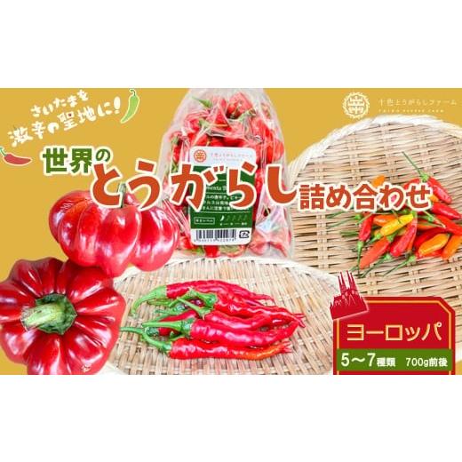 ふるさと納税 野菜類 埼玉県 さいたま市 十色とうがらしファーム 世界のとうがらし詰合せ ヨーロッパ