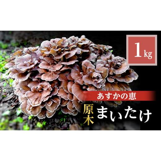 ふるさと納税 野菜類 きのこ 岐阜県 揖斐川町 No.5568-0397 舞茸 岐阜 原木まいたけ1kg 揖斐川町_1