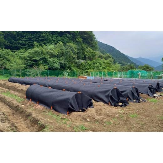 ふるさと納税 野菜類 きのこ 岐阜県 揖斐川町 No.5568-0397 舞茸 岐阜 原木まいたけ1kg 揖斐川町_4