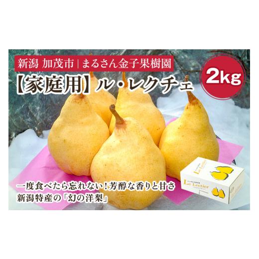 ふるさと納税 梨 新潟県 加茂市 2026年先行予約 家庭用 ル・レクチェ 2kg(5〜7玉)[11月下旬から順次発送] 果物 梨 洋梨 西洋梨 フルーツ 訳あり 冬の味覚…