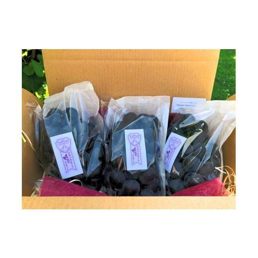 ふるさと納税 ぶどう 鳥取県 鳥取市 ぶどう ブラックビート 2kg (進物用)の画像