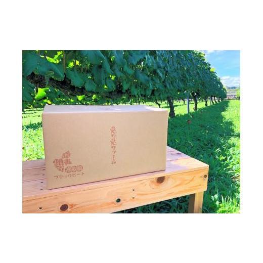ふるさと納税 ぶどう 鳥取県 鳥取市 ぶどう ブラックビート 2kg (進物用)の画像