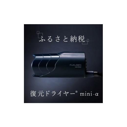 ふるさと納税 美容・健康家電 長野県 松本市 復元ドライヤー mini α