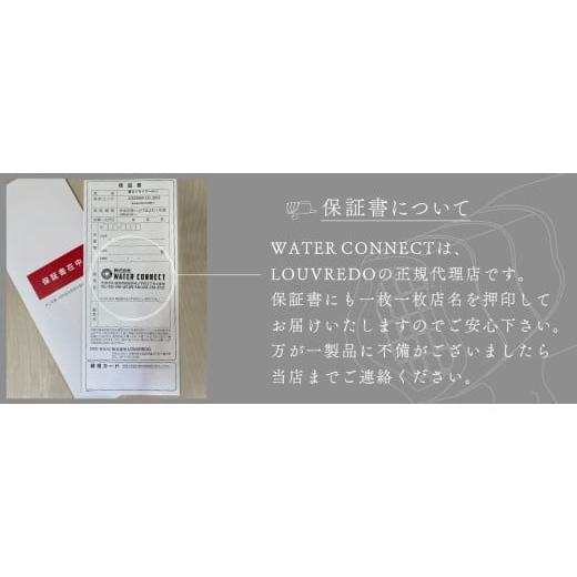 ふるさと納税 美容・健康家電 長野県 松本市 復元ドライヤー mini α