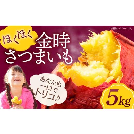 ふるさと納税 野菜類 サツマイモ 愛媛県 大洲市 さつまいも( 金時 )5kg 愛媛県大洲市/愛たい菜 AGAP012 いも 芋 さつまいも 薩摩芋 さつま芋 野菜 野菜セッ…