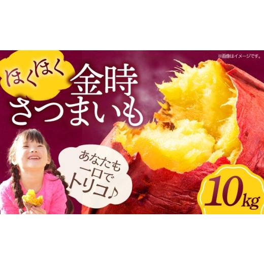ふるさと納税 野菜類 サツマイモ 愛媛県 大洲市 さつまいも( 金時 )10kg 愛媛県大洲市/愛たい菜 AGAP013 いも 芋 さつまいも 薩摩芋 さつま芋 野菜 野菜セ…