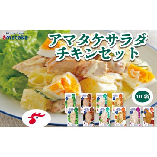 ふるさと納税 鶏肉 岩手県 大船渡市 サラダチキン セット 6種 10袋 国産 鶏肉 リン酸塩不使用 抗生物質不使用 岩手県産 冷凍 国産鶏 おかず 小分け ダイエット…