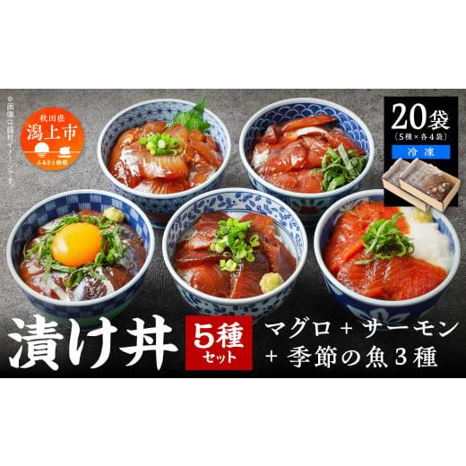 ふるさと納税 マグロ 秋田県 潟上市 海鮮漬け丼セット 5種×4袋 60g×20袋 計1200g 食べ比べ 訳アリ 訳あり 簡易包装 冷凍 海鮮丼 海鮮 マグロ サーモン タイ …