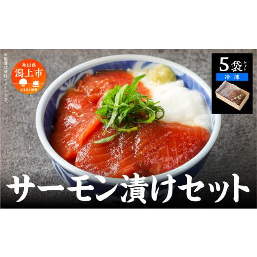 ふるさと納税 魚貝類 サーモン 秋田県 潟上市 サーモン漬け丼セット 60g×5袋 計300g 訳アリ 訳あり 簡易包装 冷凍 時短 簡単調理 お手軽 小分け パック 個包…