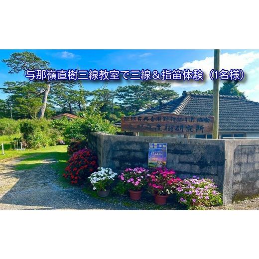 ふるさと納税 体験チケット 沖縄県 今帰仁村 与那嶺三線教室 体験レッスン(1名様/約60〜70分) 1729514