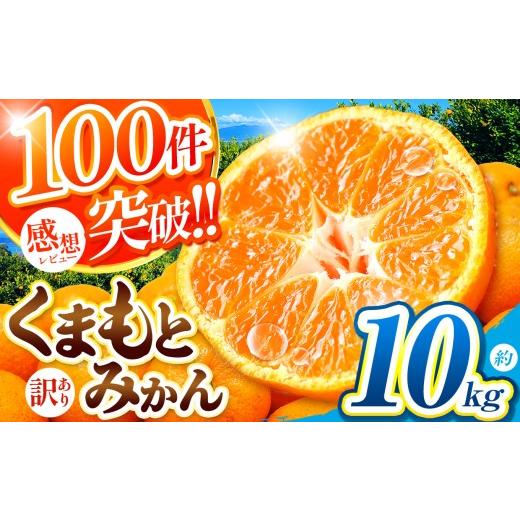 ふるさと納税 果物類 みかん 熊本県 玉名市 訳あり 大玉 くまもとみかん 約 10kg | 果物 みかん くだもの みかん フルーツ みかん 柑橘 みかん 柑橘類 みかん …