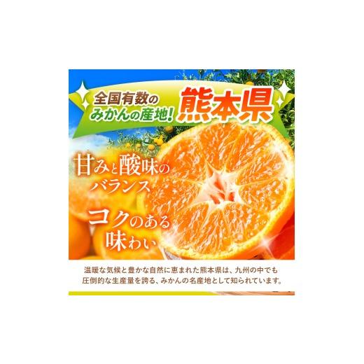 ふるさと納税 果物類 みかん 熊本県 玉名市 訳あり 大玉 くまもとみかん 約 10kg | 果物 みかん くだもの みかん フルーツ みかん 柑橘 みかん 柑橘類 みかん … |  | 02