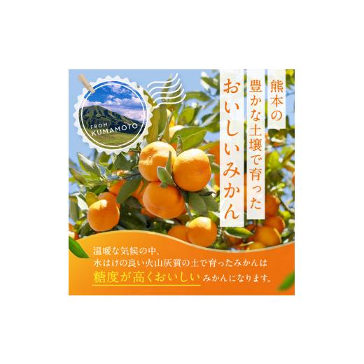 ふるさと納税 果物類 みかん 熊本県 玉名市 訳あり 大玉 くまもとみかん 約 10kg | 果物 みかん くだもの みかん フルーツ みかん 柑橘 みかん 柑橘類 みかん … |  | 03