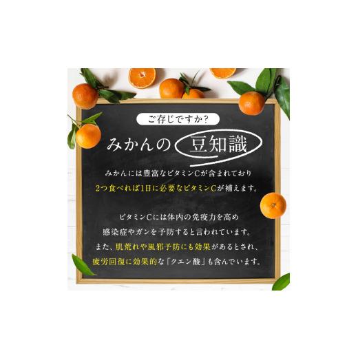 ふるさと納税 果物類 みかん 熊本県 玉名市 訳あり 大玉 くまもとみかん 約 10kg | 果物 みかん くだもの みかん フルーツ みかん 柑橘 みかん 柑橘類 みかん … |  | 04