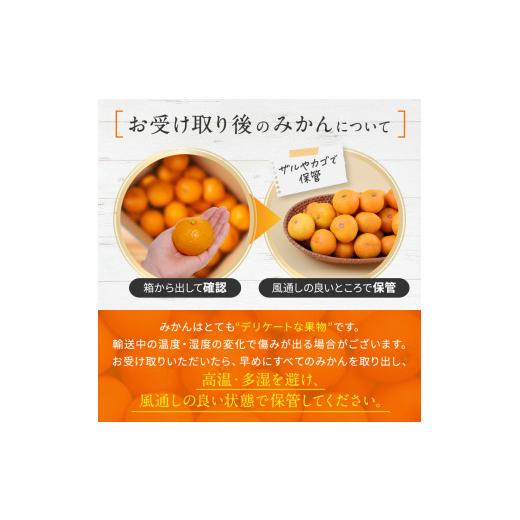 ふるさと納税 果物類 みかん 熊本県 玉名市 訳あり 大玉 くまもとみかん 約 10kg | 果物 みかん くだもの みかん フルーツ みかん 柑橘 みかん 柑橘類 みかん … |  | 06