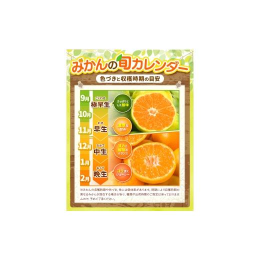 ふるさと納税 果物類 みかん 熊本県 玉名市 訳あり 大玉 くまもとみかん 約 10kg | 果物 みかん くだもの みかん フルーツ みかん 柑橘 みかん 柑橘類 みかん … |  | 07
