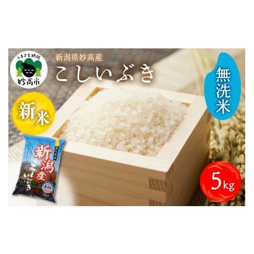 ふるさと納税 無洗米 新潟県 妙高市 2025年12月下旬発送 令和7年産 新潟県妙高産こしいぶき5kg 無洗米 2025年12月下旬発送
