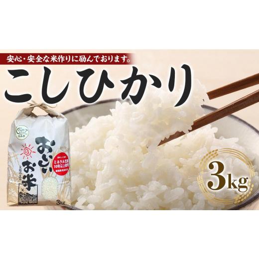 ふるさと納税 米 コシヒカリ 徳島県 徳島市 先行予約 令和8年産 新米 こしひかり 3kg(農薬・化学肥料不使用) 米 こめ お米 白米 精米 ブランド米 ご飯 人気 …
