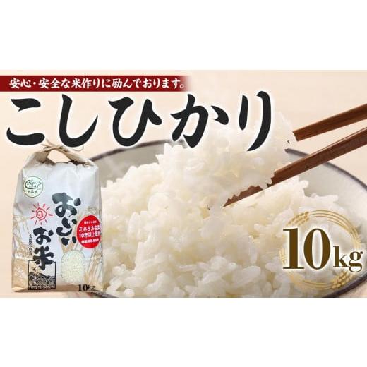 ふるさと納税 米 コシヒカリ 徳島県 徳島市 先行予約 令和7年産 新米 こしひかり 10kg(農薬・化学肥料不使用) 米 こめ お米 白米 精米 ブランド米 ご飯 人気…