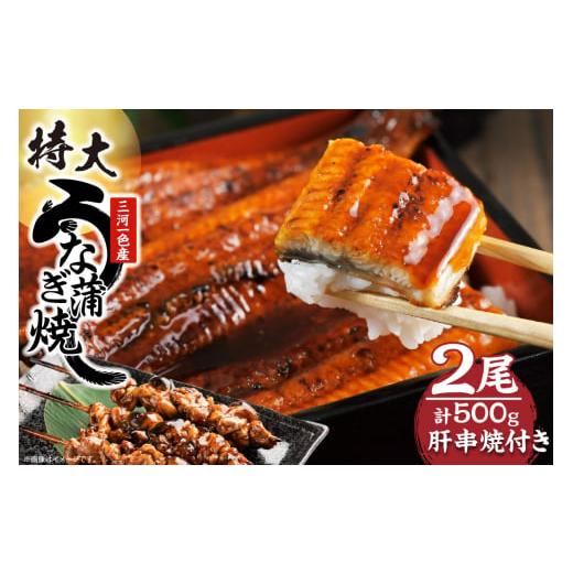 ふるさと納税 うなぎ 愛知県 知立市 三河一色産 最高級うなぎセット 特大2尾(蒲焼2尾)計500g(冷蔵配送) 蒲焼2尾