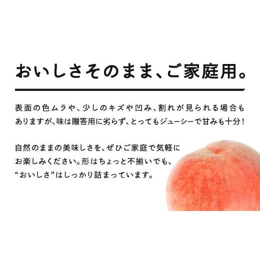 ふるさと納税 もも 山形県 山辺町  先行予約 もも 桃 品種おまかせ 白桃 ご家庭用 約3kg(6~12個程度) 2026年産 山形県産 沖縄・離島への配送不可 tf-moywm3の画像