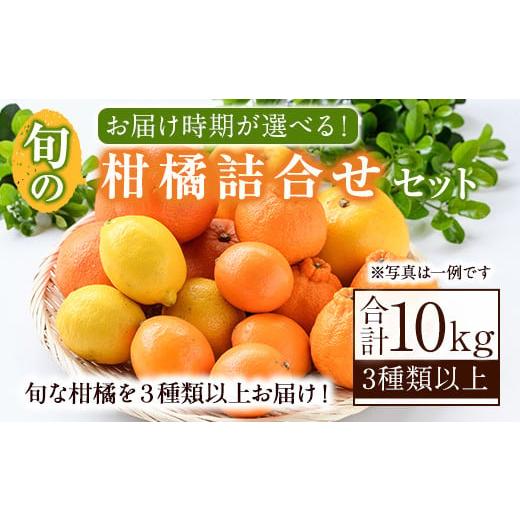 ふるさと納税 果物の詰合せ 鹿児島県 阿久根市 先行予約受付中 2026年3月発送分 旬の柑橘詰合せセット (約10kg) 国産 鹿児島県 阿久根市 果実 果物 フルーツ …
