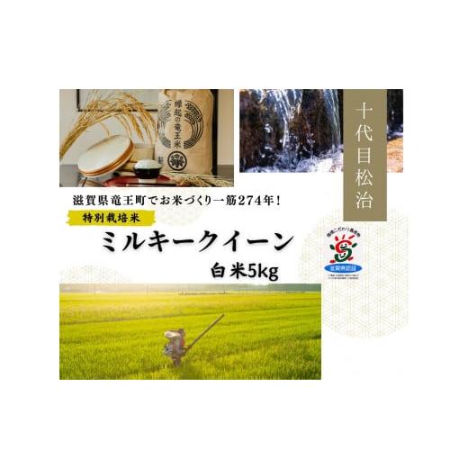 ふるさと納税 米 ミルキークイーン 滋賀県 竜王町 米 ミルキークイーン 白米 5kg 縁起の竜王米 ( 令和7年産米 白米 5kg お米 おこめ ごはん 米 特別栽培米 ブ…