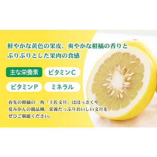 ふるさと納税 地域のお礼の品 高知県 土佐市  先行予約 訳あり 土佐文旦 加工用（M〜5L混合）約10kg〈2027年2月中旬〜発送〉／ 文旦 10キロ 約16〜30玉 ぶんた…_3