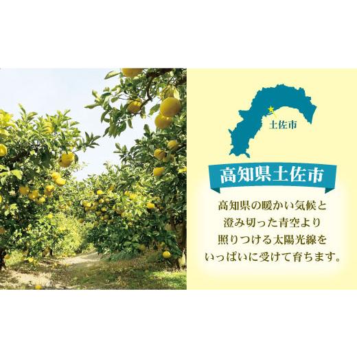 ふるさと納税 地域のお礼の品 高知県 土佐市  先行予約 訳あり 土佐文旦 加工用（M〜5L混合）約10kg〈2027年2月中旬〜発送〉／ 文旦 10キロ 約16〜30玉 ぶんた…_5