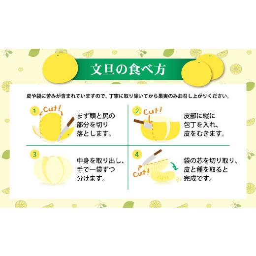 ふるさと納税 地域のお礼の品 高知県 土佐市  先行予約 訳あり 土佐文旦 加工用（M〜5L混合）約10kg〈2027年2月中旬〜発送〉／ 文旦 10キロ 約16〜30玉 ぶんた…_7