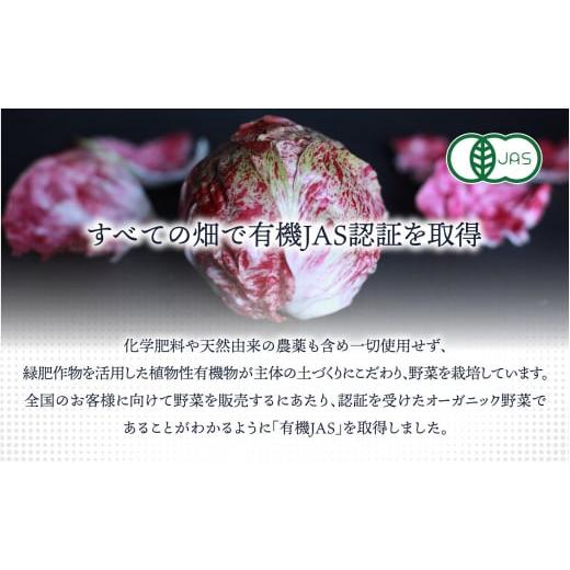 定期便/年12回/毎月お届け】有機JAS認証 旬の野菜セット 8品【ぶた