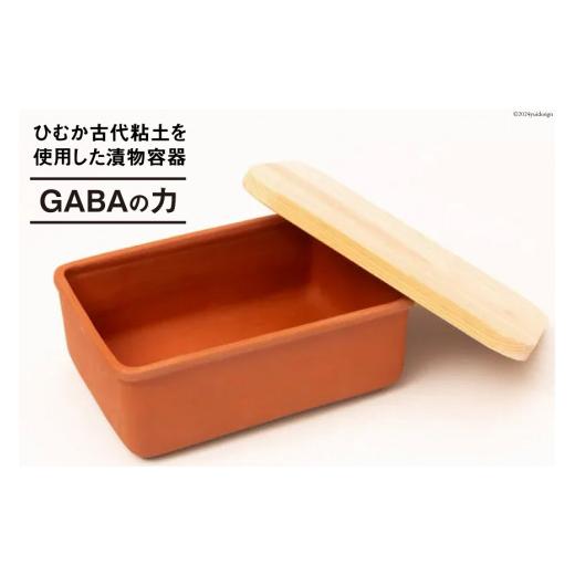 ふるさと納税 雑貨・日用品 宮崎県 日向市 容器 漬け土器 GABAの力 約