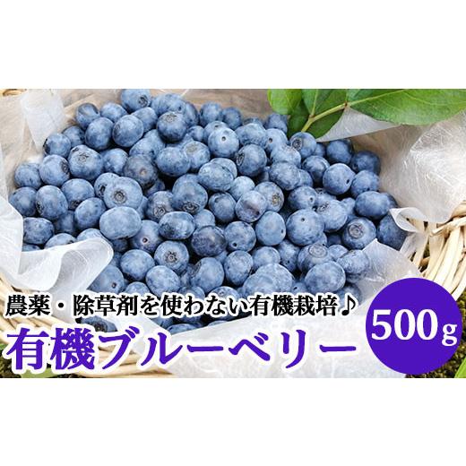 ふるさと納税 果物類 新潟県 聖籠町 有機ブルーベリー500g 傳九郎農園
