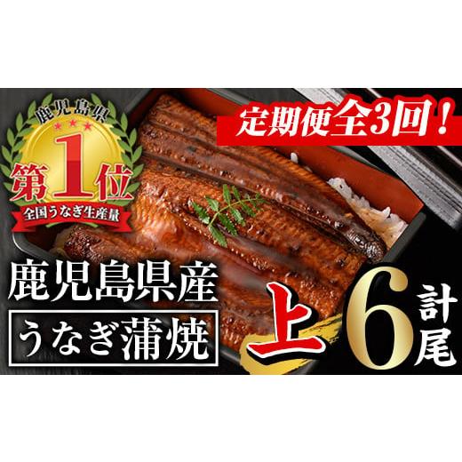ふるさと納税 うなぎ 鹿児島県 曽於市 定期便全3回 無投薬 鹿児島県産うなぎ蒲焼セット 上 (計840g以上・140g以上×2尾×3回) タレ・山椒付き 鰻 ウナギ 国産…